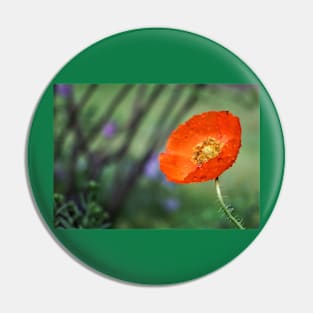 Dewy Red Poppy Pin