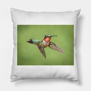 Hummingbird Male Ruby Throat Pillow