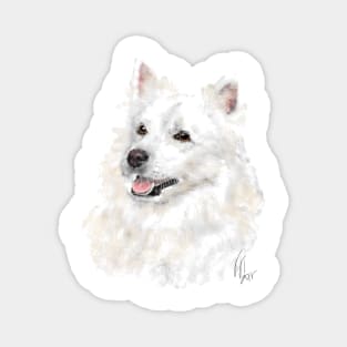 Smiling American Eskimo Eskie Pooch Magnet