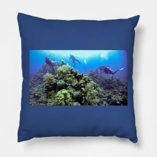 THE DIVE GUIDE Pillow