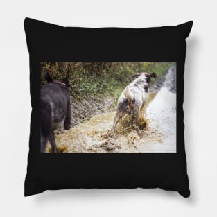 Splashing through a puddle Spinone Pillow