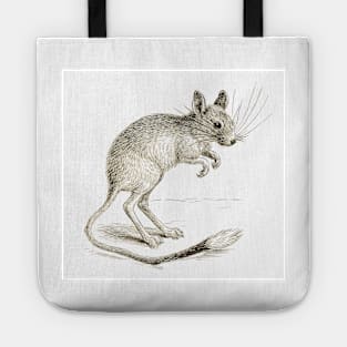 The Jerboa Tote