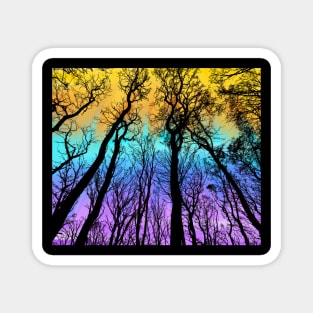 Fall Forest Sunset Magnet