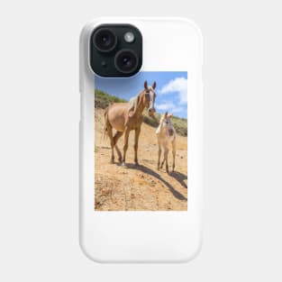 Wild Horse with Foal at Rano Raraku Crater - Rapa Nui - Easter Island Phone Case