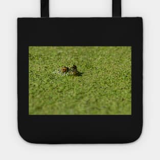 Duck Weed Eyes Tote