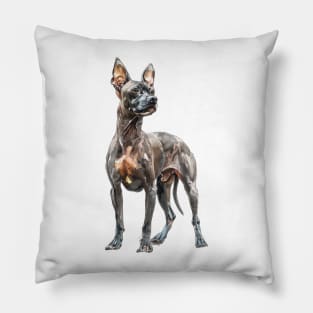 American Hairless Terrier Pillow