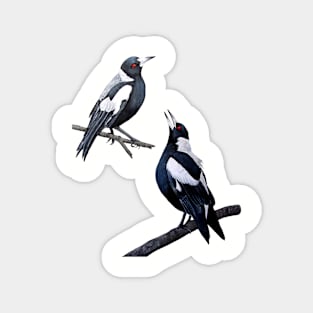Australia’s number 1 bird! Magnet