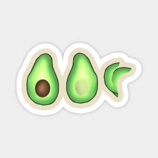 Avocado Anatomy Magnet