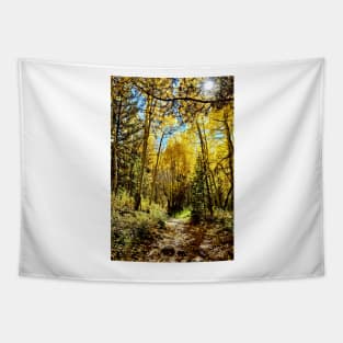 Golden Aspen Groves in Colorado Tapestry