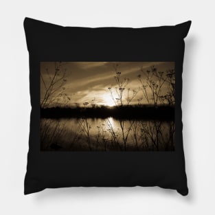 estuary Pillow