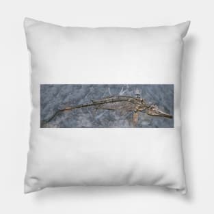 Ichthyosaur fossil (C030/0747) Pillow