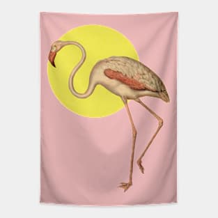 Flamingo illustration vintage Tapestry