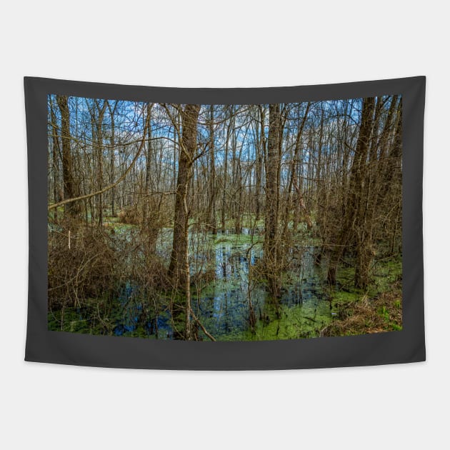 Swamp in Southeastern Georgia Tapestry by Gestalt Imagery