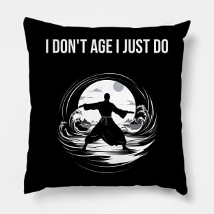 Tai Chi, Tai Chi Lover Gift, Martial Artist, Tai Chi Gift, Tai Chi Teacher, Chinese Martial Arts Pillow