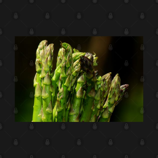 Asparagus by ikshvaku