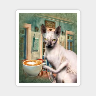 Sphynx Hairless Cat With Coffee Magnet