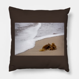 Seaweed Pillow