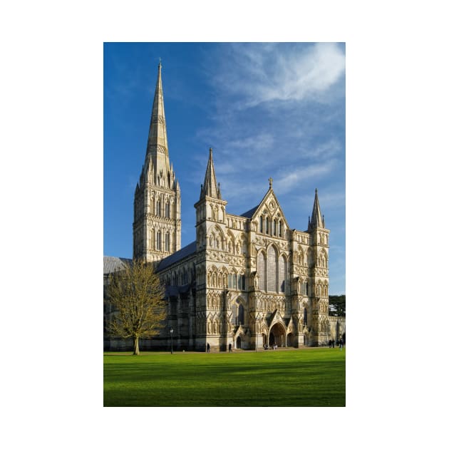 Salisbury Cathedral by galpinimages