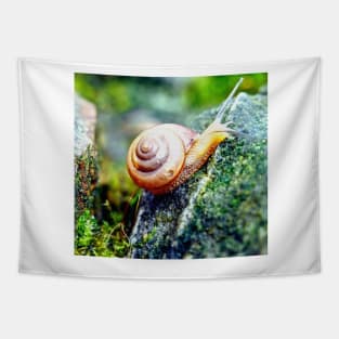 Garden Snail Tapestry