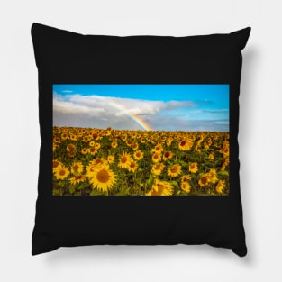 A field of sunflowers with a rainbow Pillow