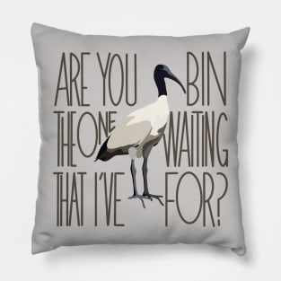 Are You The One That I’ve Bin Waiting For? (bin chicken, ibis) Pillow