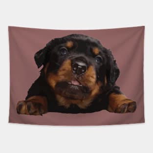 Cute Baby Rottweiler Isolated Cut Out Tapestry