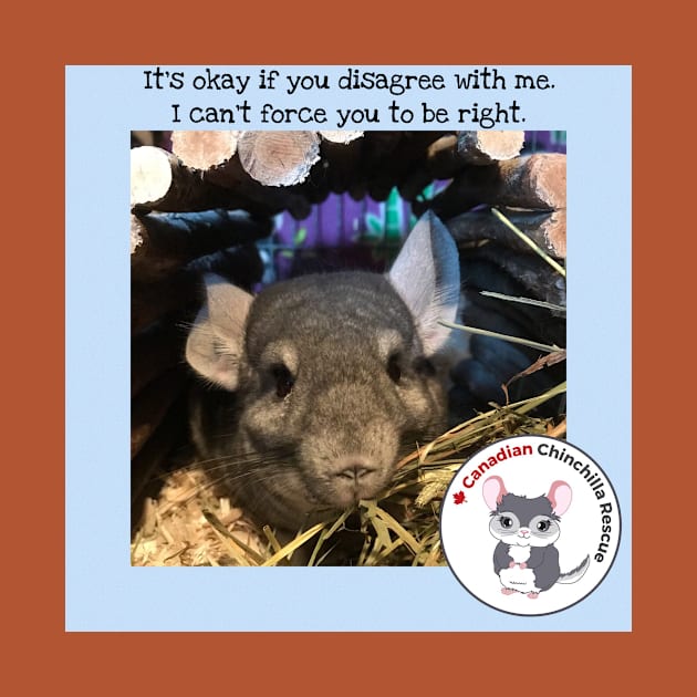 Disagreeing with chinchilla by canchinrescue