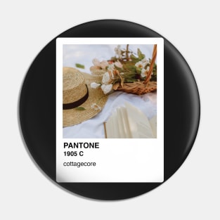 Pantone Cottagecore Aesthetic Sticker and Phone Case Pin