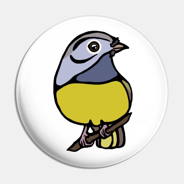 Connecticut Warbler Graphic Pin by New World Aster 