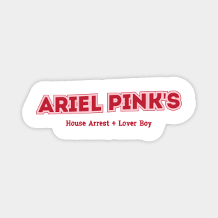 Ariel Pink's Magnet