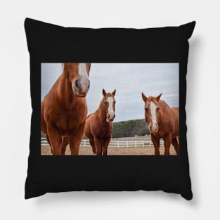 horses in pasture Pillow