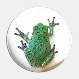 Tree Frog *on house Pin