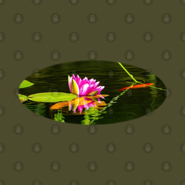 Pink Lily and Goldfish by dalyndigaital2@gmail.com