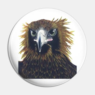 Australian Wedge-Tailed Eagle Pin