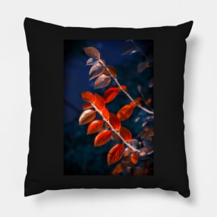 Autumn Garden Pillow