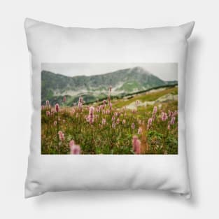 Mountain meadow Pillow