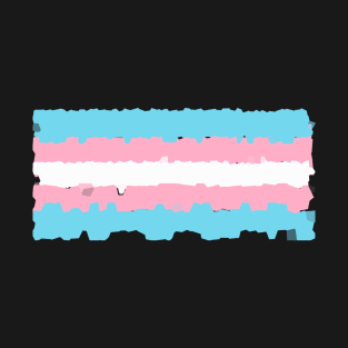 Imperfect perfect trans flag T-Shirt