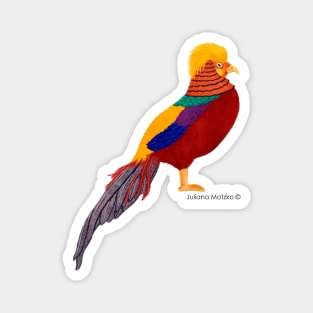 Golden Pheasant Bird Realistic Illustration Magnet