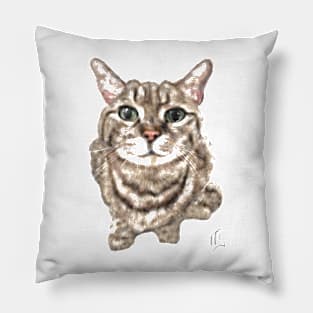 Green Eyed Fluffy Kittie Cat Pillow