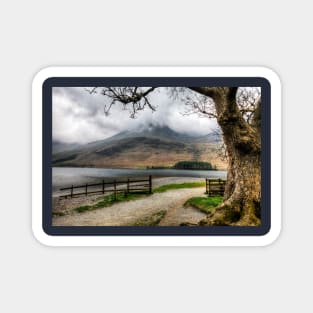 Brothers Water Oak Tree, Cumbrian Lake District Magnet