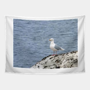 Glaucous gull Tapestry