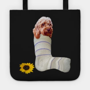 cavalier king charles spaniel Cava in a sock Cavapoo Cavoodle puppy - cute cavalier king charles spaniel Tote