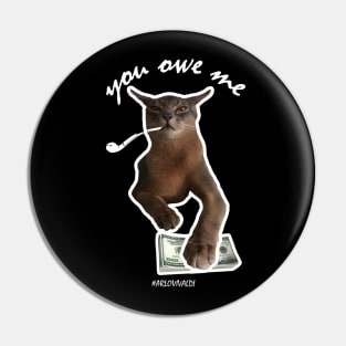 you owe me nice and funny cat design Pin