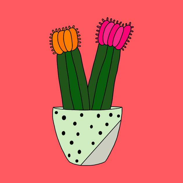 Cute Cactus Design #166: Hybrid Cacti In Painted Concrete Pot by DreamCactus