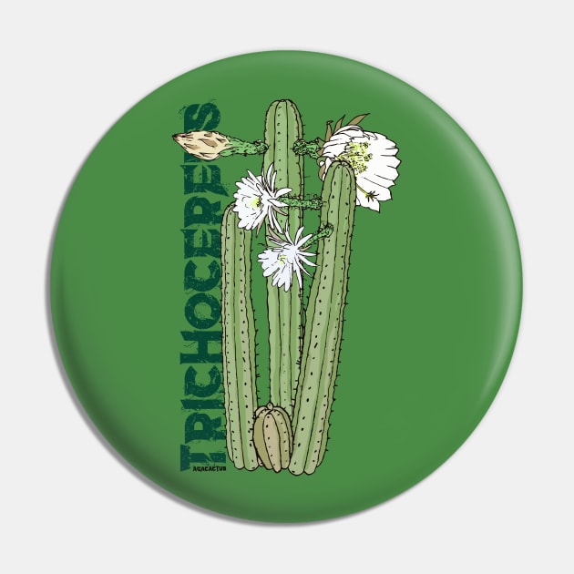 TRICHO #02 Pin by AgaCactus