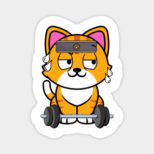 Cute orange cat is exercising Magnet