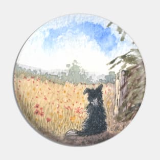 A Border collie dog meditates on a summer meadow Pin