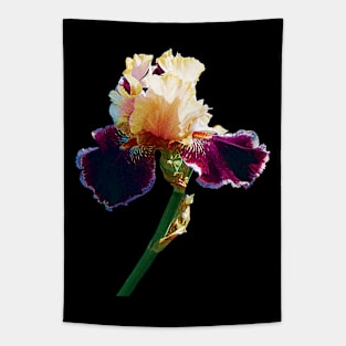 Irises - Cream and Magenta Iris Tapestry