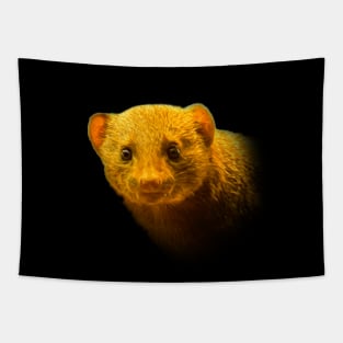 Dwarf mongoose Tapestry