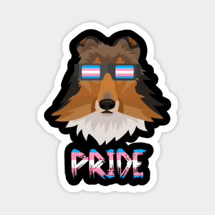 Sheltie Transgender Flag Lgbt Magnet